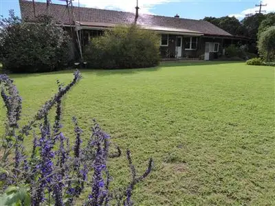 Main view of Homely rural property listing, 38 Bethel Rd, Burrumbuttock NSW 2642