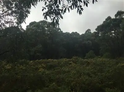 Seventh view of Homely land listing, CA 2 Simpson Street, Nerrina VIC 3350