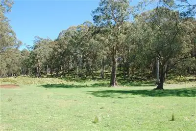 Sixth view of Homely rural property listing, 215 Merlin Downs Road, Niangala NSW 2354