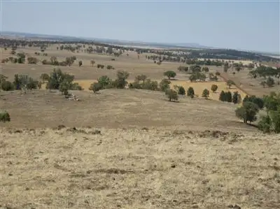 . 'Peronne', Ungarie NSW 2669