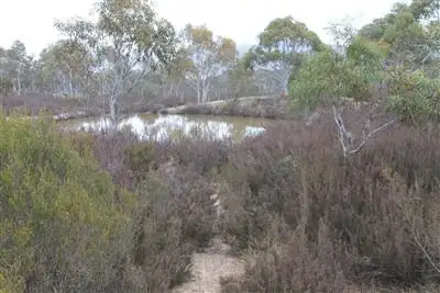 Second view of Homely rural property listing, 363 Farringdon Road, Braidwood NSW 2622