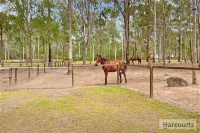 Main view of Homely rural property listing, 1-9 McDonald Road, Jimboomba QLD 4280