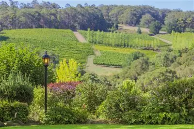 Fifth view of Homely house listing, 25 Hollidays Road, Summertown SA 5141