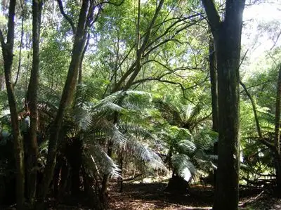 Fifth view of Homely land listing, 735 Pegarah Road, Naracoopa TAS 7256