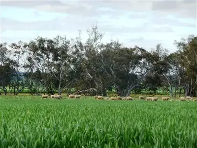 Second view of Homely rural property listing, 3308 Olympic Highway, Yerong Creek NSW 2642