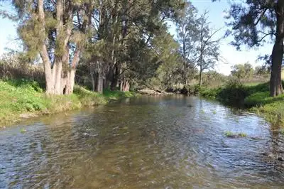 Second view of Homely rural property listing, 870 Stewarts Brook Rd, "Binda" via, Scone NSW 2337