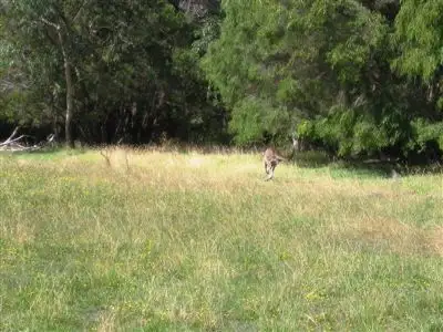 Seventh view of Homely rural property listing, Lot 3725 Thompson Road, Albany WA 6330