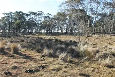 Fourth view of Homely rural property listing, 46 Krawarree Road, Braidwood NSW 2622