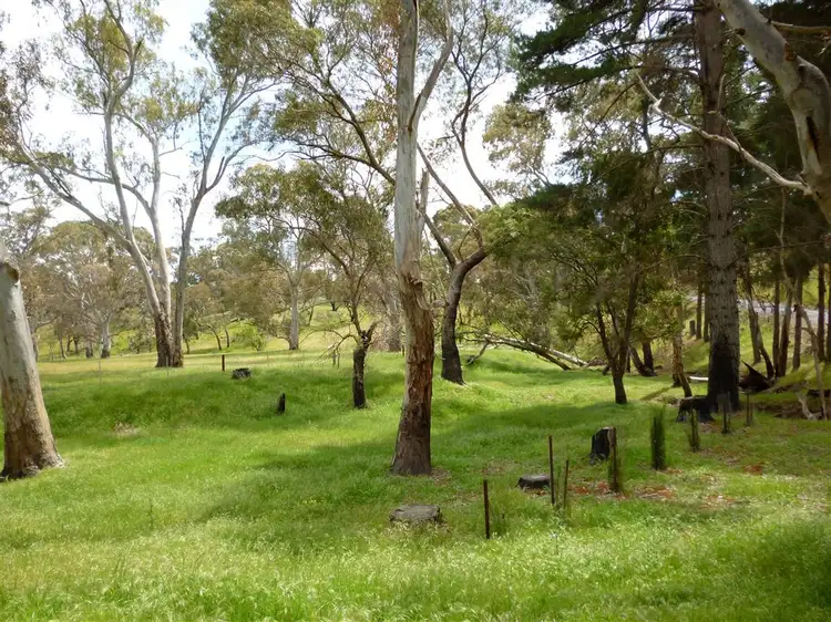 Seventh view of Homely rural property listing, 109 Bassnet Road,, Humbug Scrub SA 5114