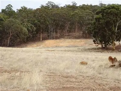 Fifth view of Homely house listing, 28 Mistletoe View, Boddington WA 6390