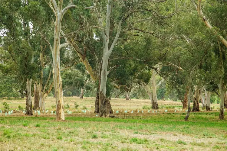 Sixth view of Homely land listing, Lot 2 "Dunnfield", Springhead Road, Mount Torrens SA 5244