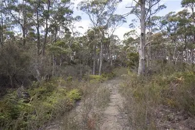 Second view of Homely land listing, Lot 1 Esperance Coast Road, Surges Bay TAS 7116