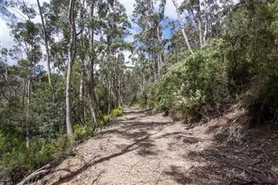 Fifth view of Homely land listing, - Constance Road, Cygnet TAS 7112