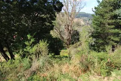 Sixth view of Homely land listing, 8 Mulhern Street, Derby TAS 7264