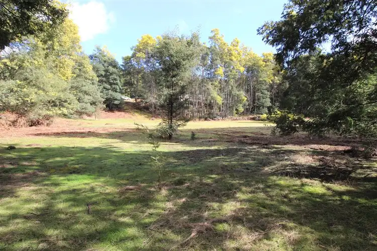 Second view of Homely rural property listing, Lot 2 Prosperity Road, Scottsdale TAS 7260
