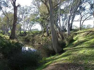 Main view of Homely rural property listing, 10 LONGLEA LANE, Longlea VIC 3551