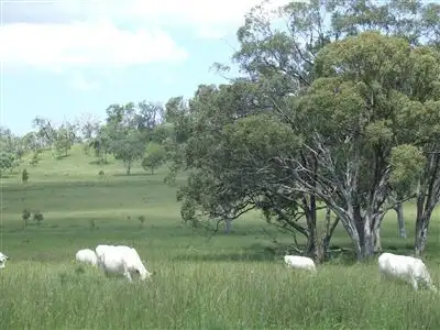 - Goombungee Dam Road, Goombungee QLD 4354