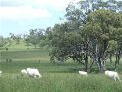 Main view of Homely rural property listing, - Goombungee Dam Road, Goombungee QLD 4354