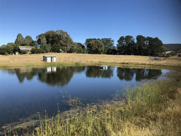 'Raymond' 2852 Jingellic Road, Tumbarumba NSW 2653