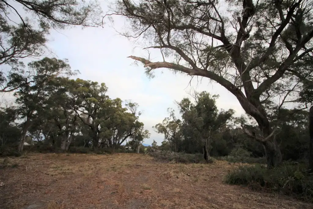 Main view of Homely land listing, 1 Neville Drive, Bridport TAS 7262