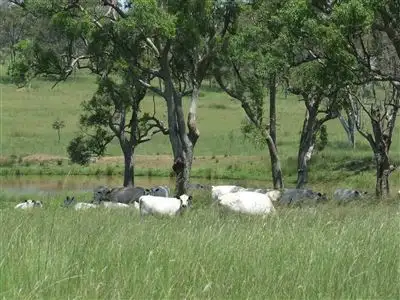 Fourth view of Homely rural property listing, - Goombungee Dam Road, Goombungee QLD 4354