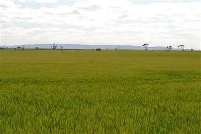 Main view of Homely rural property listing, 272 Pit West Road, Paskeville SA 5552