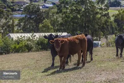 Third view of Homely house listing, 9 Stevens Road, Cygnet TAS 7112