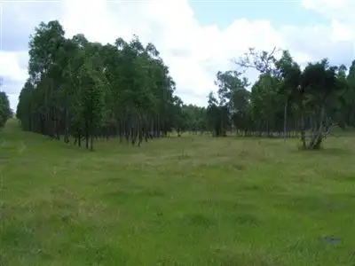 Main view of Homely rural property listing, Mongogarie/1410 Mongogarie road, Casino NSW 2470