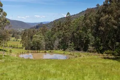 Third view of Homely land listing, - Halls Track Road, Pelverata TAS 7150