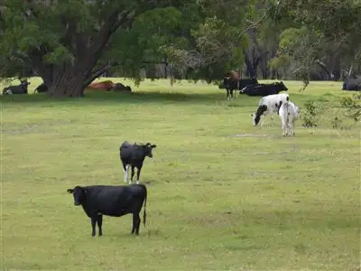 Third view of Homely rural property listing, 1821 Boorara Road, Northcliffe WA 6262