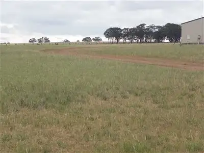 Sixth view of Homely rural property listing, 1792 Bendigo-Pyramid Road, Raywood VIC 3570