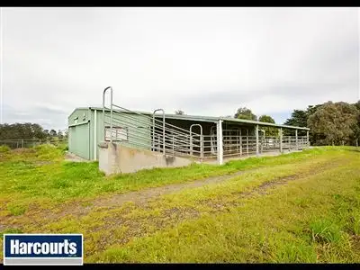 Sixth view of Homely rural property listing, 195 Sheffield Road, Neerim South VIC 3831