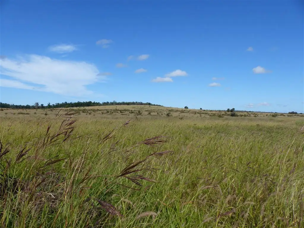 Main view of Homely rural property listing, . "Box Flat", Taroom QLD 4420