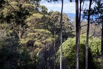 Seventh view of Homely land listing, Lot 5, 44 Lloyds Road, Franklin TAS 7113