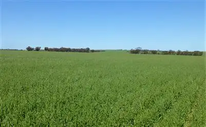 Main view of Homely rural property listing, Address available on request