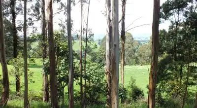Seventh view of Homely rural property listing, 26 Sheers Road, Mirboo North VIC 3871