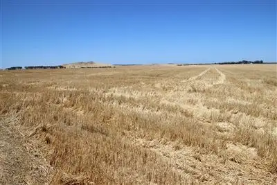 Sixth view of Homely rural property listing, 382 Mount William Road, Skipton VIC 3361
