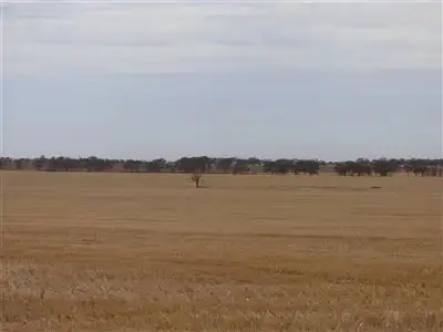 Sixth view of Homely rural property listing, 431 Baker - Hiscocks Road, Netherby, Nhill VIC 3418