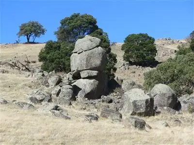 Fifth view of Homely rural property listing, 1195 Horseshoe Bend Lane, Kelvin View VIC 3666