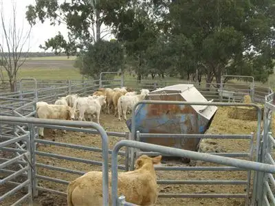 Second view of Homely rural property listing, 241 Pauli Road, Back Plains QLD 4361