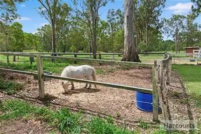 Fifth view of Homely house listing, 60 NASH ROAD, Jimboomba QLD 4280