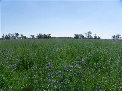 Main view of Homely rural property listing, Address available on request