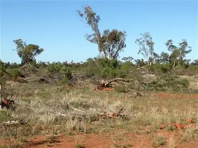 Fourth view of Homely rural property listing, " Nidgery Downs", Nyngan NSW 2825