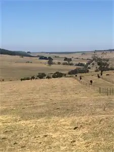 Fifth view of Homely rural property listing, 0 McLean Street, Digby VIC 3309