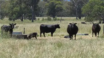 Sixth view of Homely rural property listing, Address available on request
