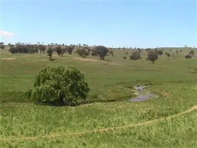 Seventh view of Homely rural property listing, 161 'Walteela' Bombandi Road, Ilford, Mudgee NSW 2850
