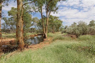 Fourth view of Homely rural property listing, Mt Lyndhurst Station, Leigh Creek SA 5731
