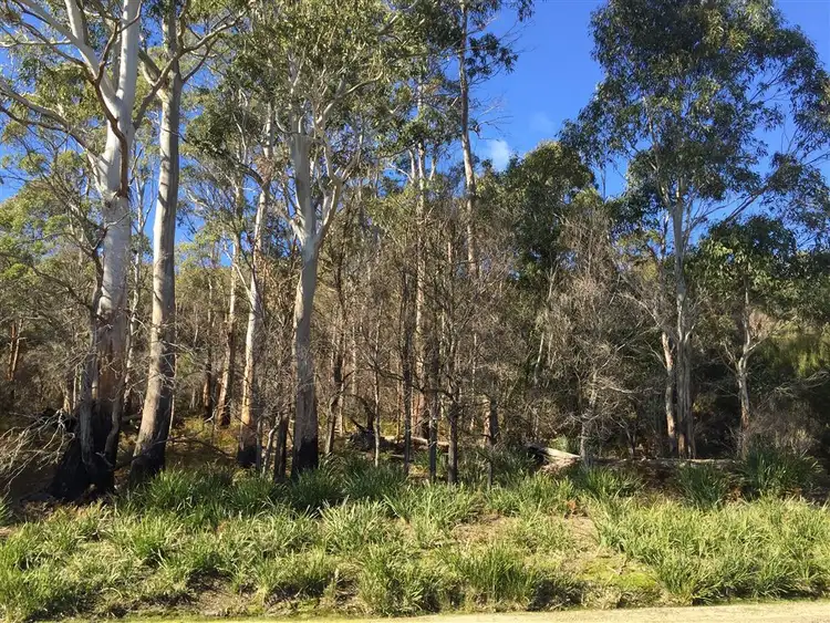 Sixth view of Homely rural property listing, . Gladstone Road, Pioneer TAS 7264