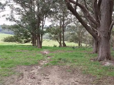 Fourth view of Homely rural property listing, 38 Blackwarry Scenic Road, Won Wron VIC 3971