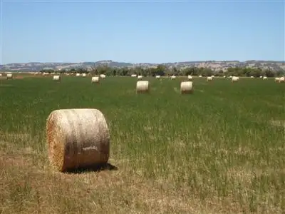 Fifth view of Homely rural property listing, 479 Campbell Road, Benger WA 6223